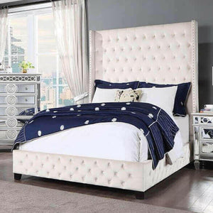 Fabrice Eastern Beige Upholstered Velvet BedUpholstered Bed FrameAcme FurnitureSize: Queen, King